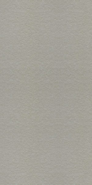 Gạch ốp lát Taicera – G63548 (30x60)