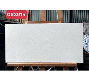 Gạch ốp lát Taicera - G63915 (30x60)
