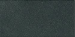 Gạch ốp lát Taicera - G63919 (30x60)