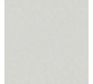 Gạch ốp lát Taicera G68025 (60x60)