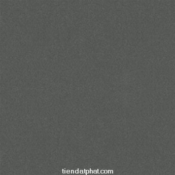 Gạch ốp lát Taicera – G68029 (60x60)