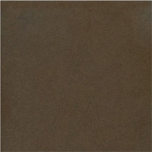 Gạch ốp lát Taicera – G68911 (60x60)