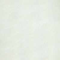 Gạch ốp lát Taicera – P67025N (60x60)