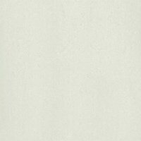 Gạch ốp lát Taicera – P67312N (60×60)