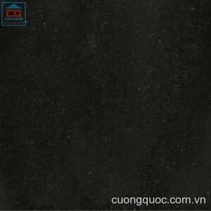 Gạch ốp lát Taicera – P67319N (60x60)