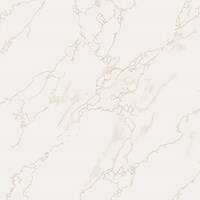 Gạch ốp lát Taicera - P67594N (60x60)