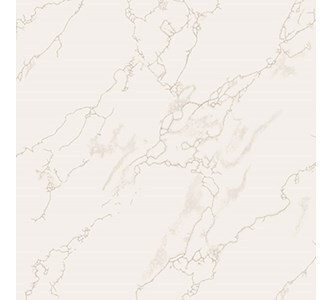 Gạch ốp lát Taicera - P67594N (60x60)
