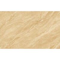 Gạch ốp lát Tasa 2888 ceramic 30×60