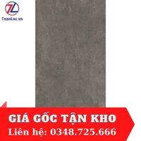 Gạch ốp lát THIÊN DI THD G04 Viglacera 30*60