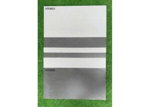 Gạch ốp lát Viglacera 30×60 KR3655