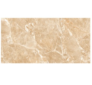 Gạch ốp lát Viglacera 60×120 MD-D61203