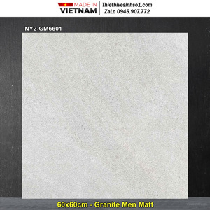 Gạch ốp lát Viglacera NY2-GM6601