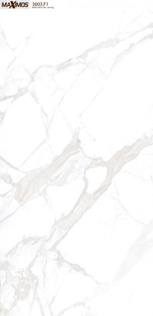 Gạch ốp lát Vitto 60×120 3603