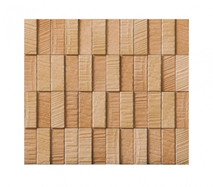 Gạch ốp trang trí nội thất INAX ECP-275NET/RGS2