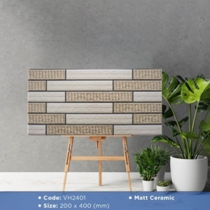 Gạch ốp tường 25x40 2401