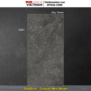 Gạch ốp tường 25x40 2401