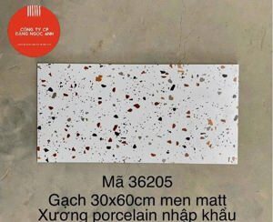 Gạch ốp tường 300x600 36205