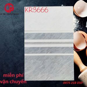 Gạch ốp tường 300x600 KR3666