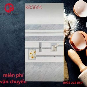 Gạch ốp tường 300x600 KR3666
