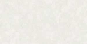 Gạch ốp tường 300x600 Viglacera CL369