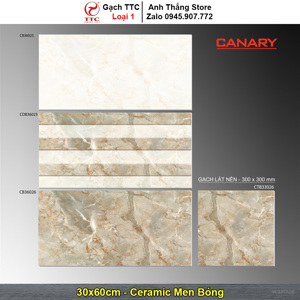 Gạch ốp tường 30×60 TTC Ceramic CB36025