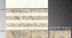 Gạch ốp tường 30×60 TTC Ceramic CB36025
