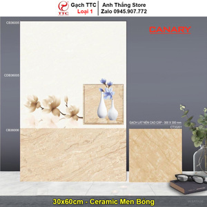 Gạch ốp tường 30×60 TTC Ceramic CB36005