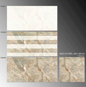 Gạch ốp tường 30×60 TTC Ceramic CB36025
