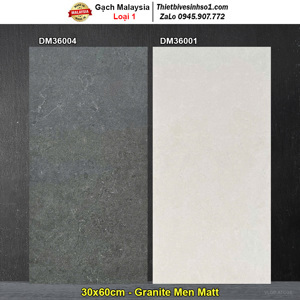Gạch ốp tường 30×60 TTC DM36001
