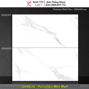 Gạch ốp tường 30×60 TTC EX36329