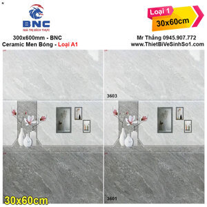Gạch ốp tường 30x60 BNC3601-3603