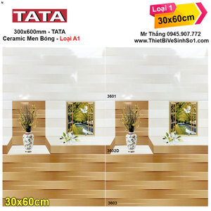Gạch ốp tường 30x60 BNC3601-3603