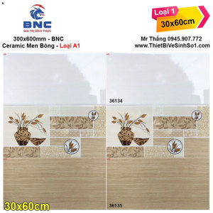 Gạch ốp tường 30x60 BNC36134
