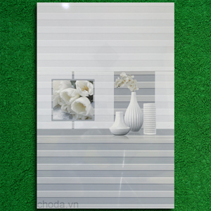 Gạch ốp tường 30x60 GR36029