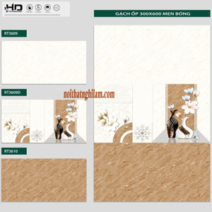 Gạch ốp tường 30x60 Hace RT3609