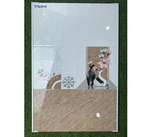 Gạch ốp tường 30x60 Hace RT3609