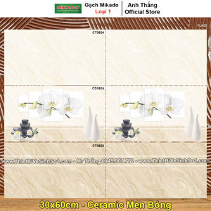 Gạch ốp tường 30x60 Mikado CT3624