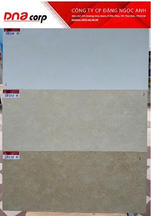 Gạch ốp tường 30x60 Prime 8210