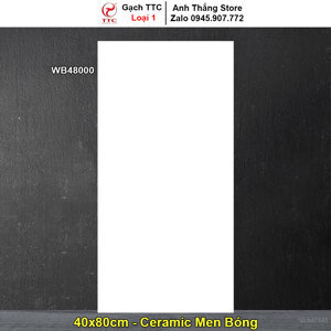 Gạch ốp tường 40x80 TTC WB48000
