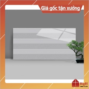 Gạch ốp tường Catalan 300x600 mm 3909