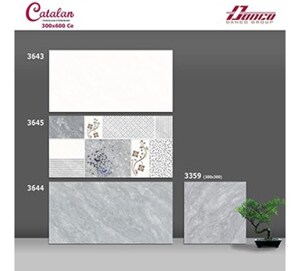 Gạch ốp tường Catalan 30x60 3643
