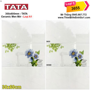 Gạch ốp tường Catalan 3655 - 30x60