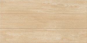 Gạch ốp tường Catalan 3673 - 30x60