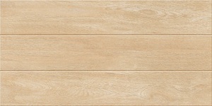 Gạch ốp tường Catalan 3673 - 30x60