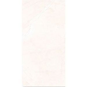 Gạch ốp tường Đồng Tâm 2560ROME001