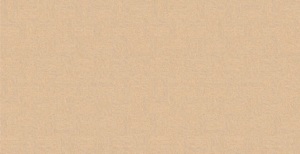 Gạch ốp sàn Đồng Tâm 3060 COTTON 006 - 30x60