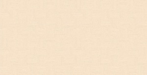 Gạch ốp sàn Đồng Tâm 3060 COTTON 005 - 30x60