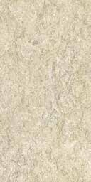 Gạch ốp tường Đồng Tâm 3060FOSSIL002