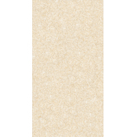 Gạch ốp tường Đồng Tâm 3060NHATRANG001 - 30x60