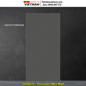 Gạch ốp tường Đồng Tâm 3060VICTORIA008 - 30x60